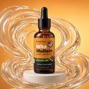 Wild Mullein  -Gordolobo-