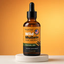 Wild Mullein  -Gordolobo-